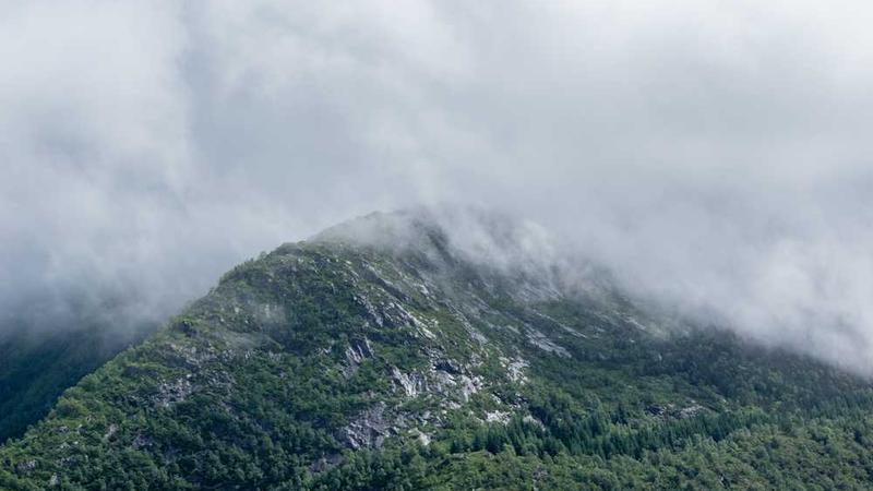 Napolyonbet Bahis Dünyası